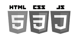 HTML CSS JS